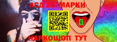 гашик Будённовск