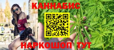 гашик Будённовск