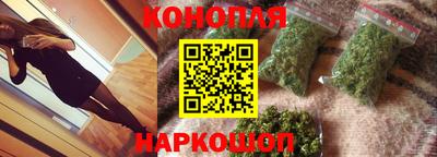 гашик Будённовск