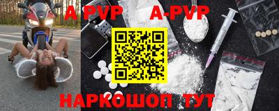 гашик Будённовск