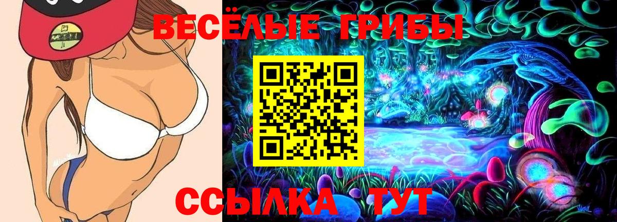 Псилоцибиновые грибы ЛСД  Вход с VPN  Лиски  Псилоцибиновые грибы прущие грибы 