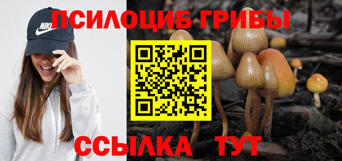 Галлюциногенные грибы прущие грибы Лиски